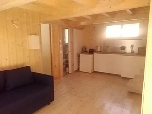 Studio Dans Les Pins Lacanau Apartment Екстериор снимка